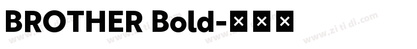 BROTHER Bold字体转换